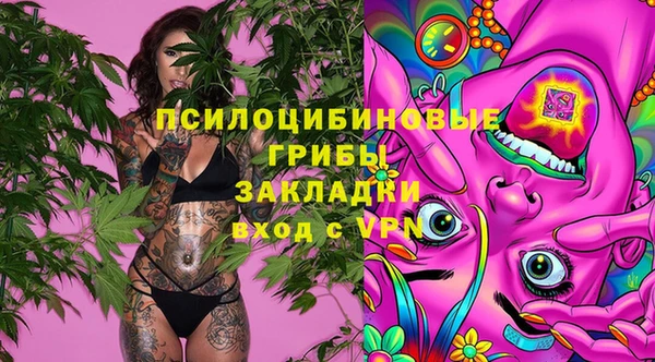 шишки Богородск