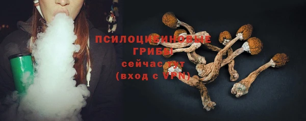 шишки Богородск