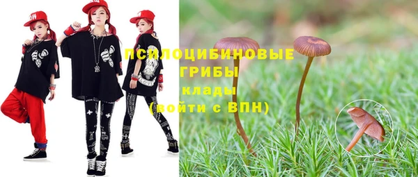 кокс Богородицк