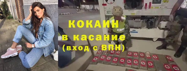 кокс Богородицк